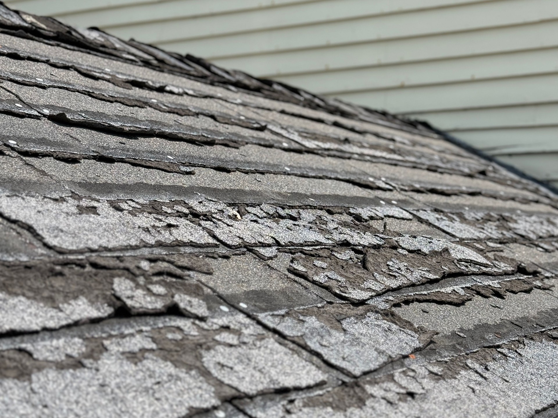 Roof Leak Repair Charlotte